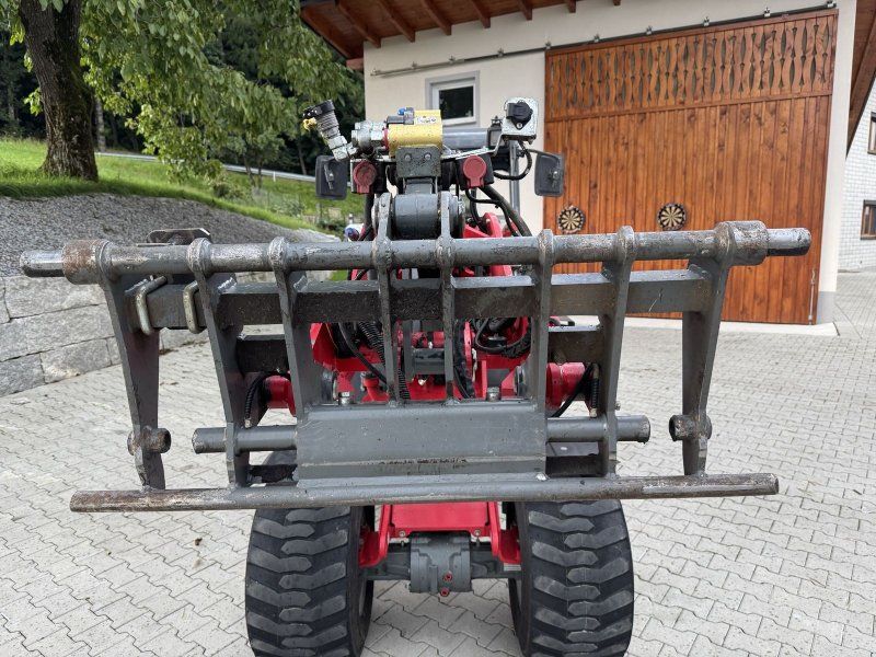 Weidemann 1880