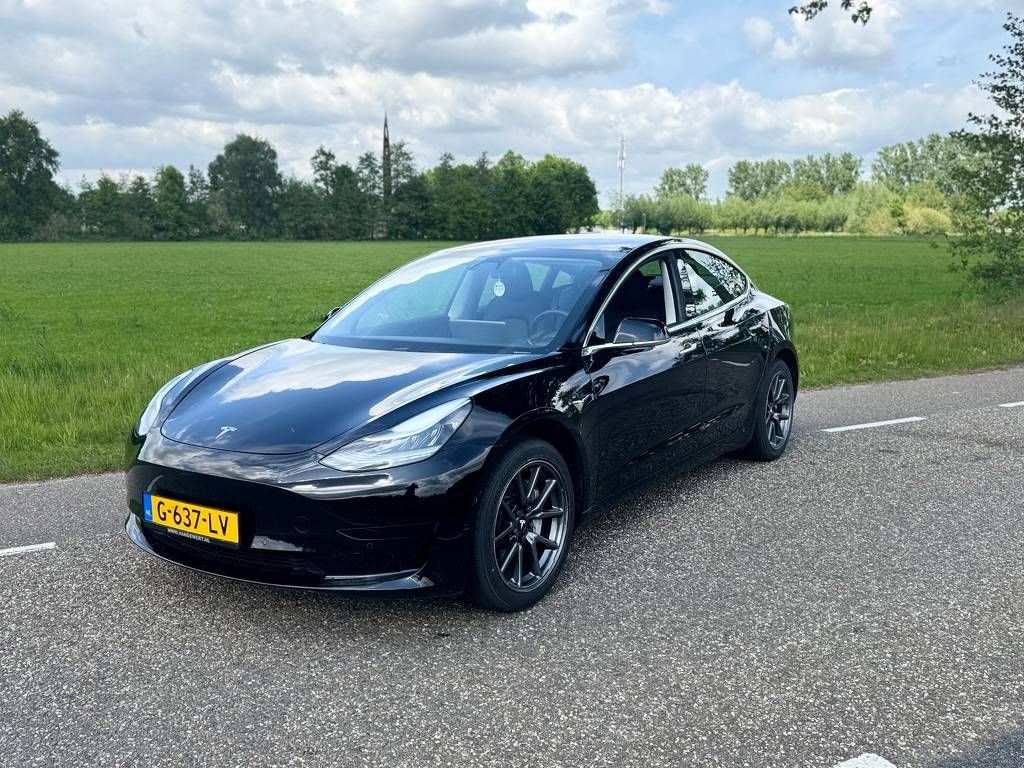 Tesla Model 3 Electric (Marge)