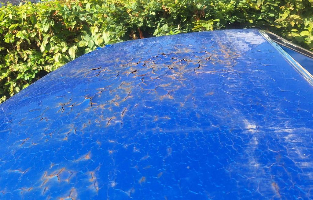 Chevrolet El Camino 5.7 V8 (Restaurierungsbasis) (Marge)