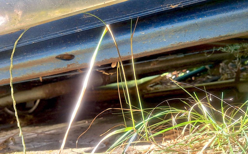 Chevrolet El Camino 5.7 V8 (Restaurierungsbasis) (Marge)