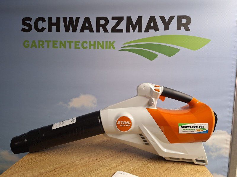 Stihl BGA 250 o. Akku