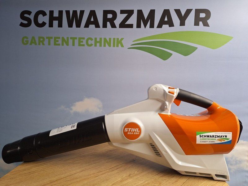 Stihl BGA 250 o. Akku