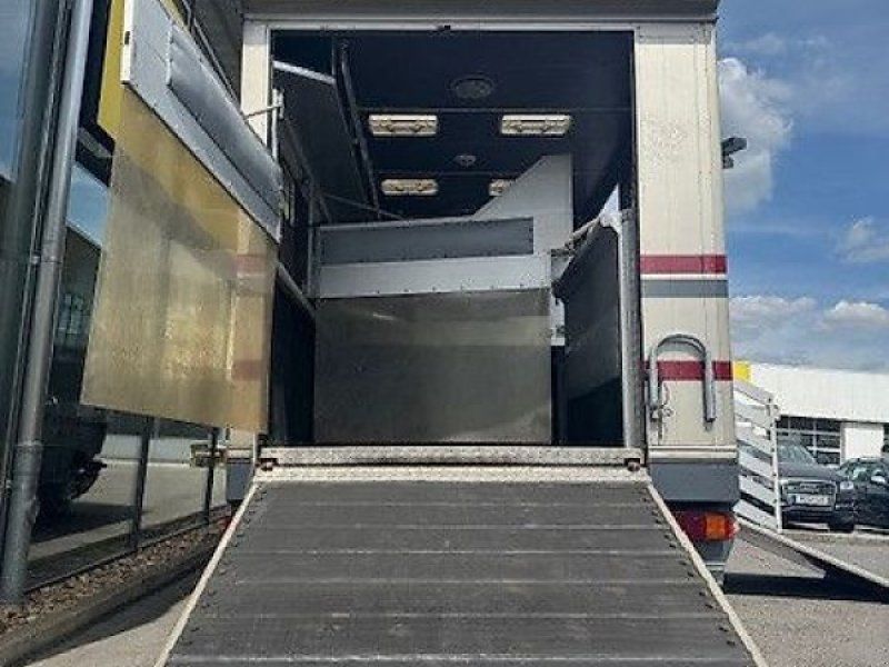Mercedes-Benz 814 Pferdeer LKW 7,5t.