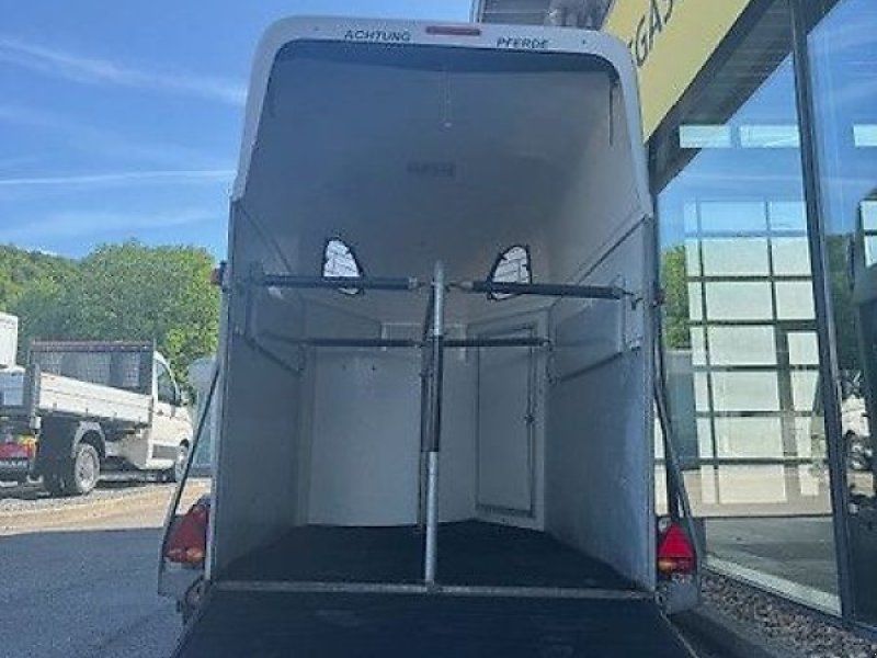 Cheval Liberte Gold First 2 Pferde Aluboden