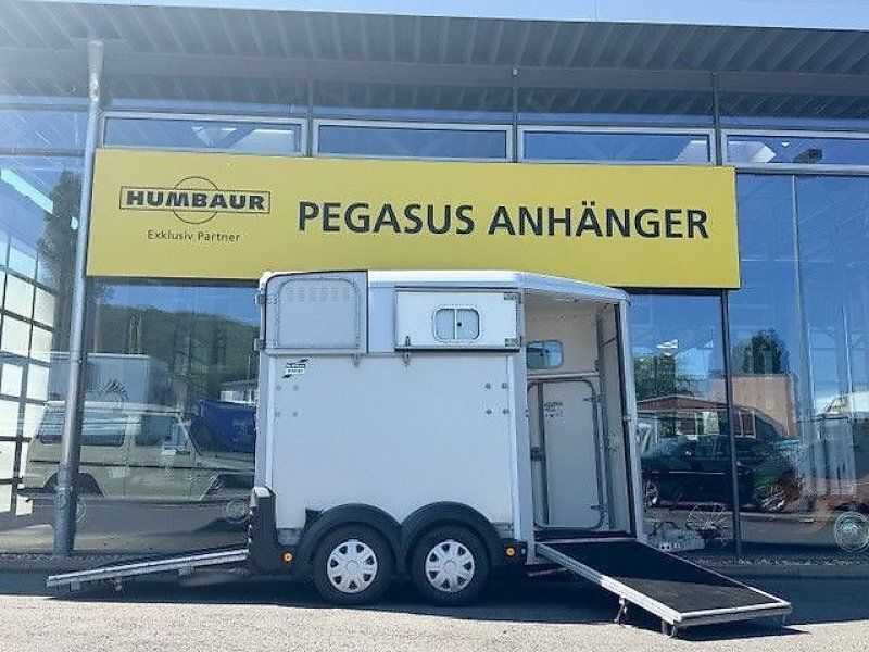 Ifor Williams HB 506 2 Pferde Aluboden FRONTAUSSTIEG