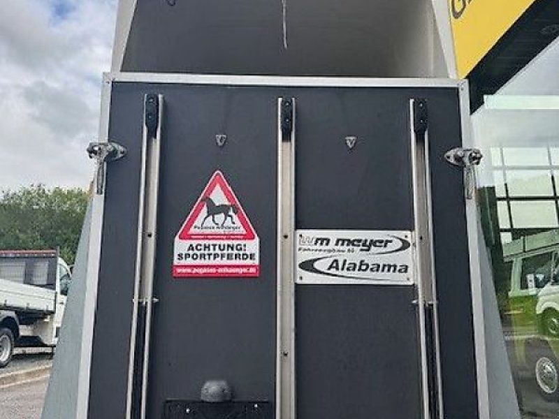 WM Meyer Alabama Pferde 2t.