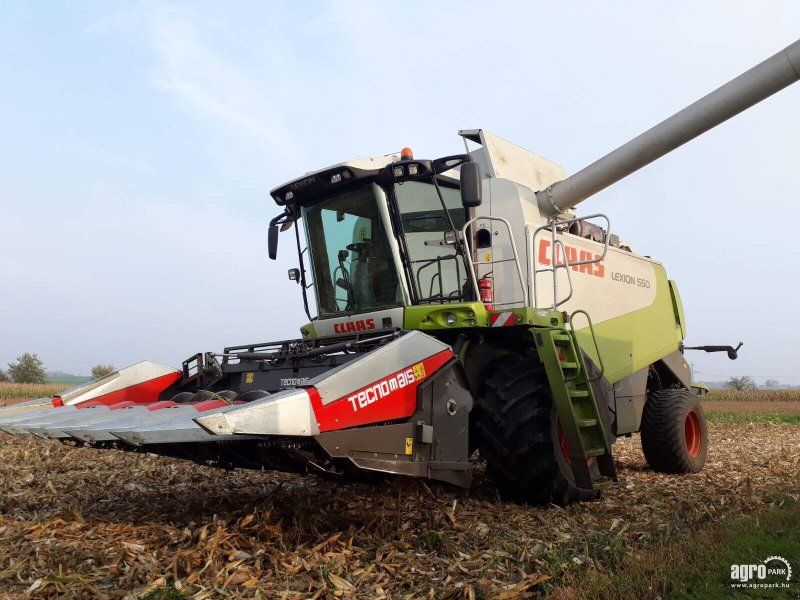 Tecnomais TMRP2 6R-F corn header, 6 row, foldable, 75 cm, for Claas Tucano