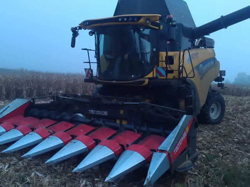 Tecnomais TMRP2 6R-F corn header, 6 row, foldable, 75 cm, for John Deere W