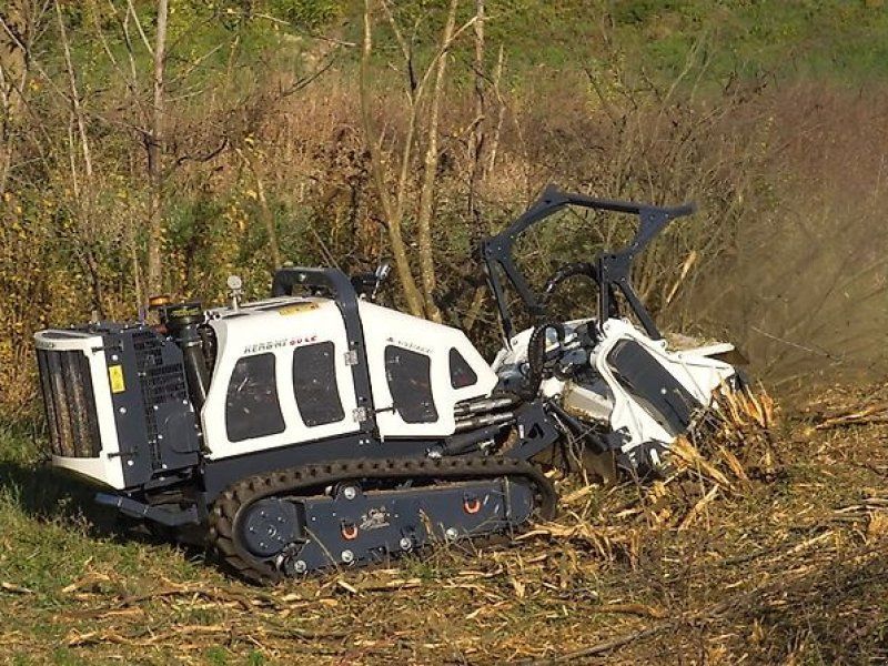 Hymach Funkraupe Mähraupe Mulchraupe Geräteträger Forstraupe
