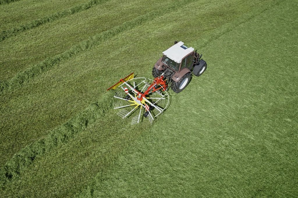 Pottinger Top 382
