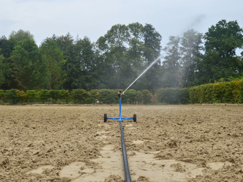 Buchholz Wasserprinz swagen Bewässerung Reitplatz