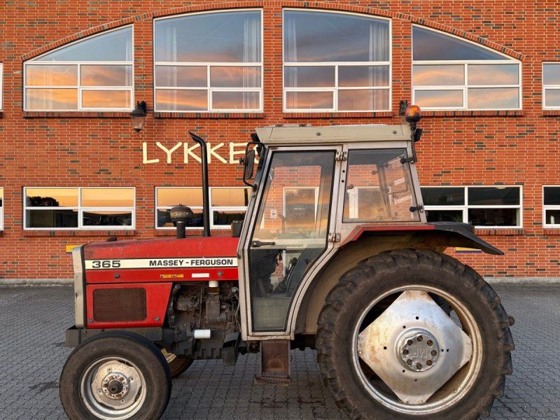 Massey Ferguson 365