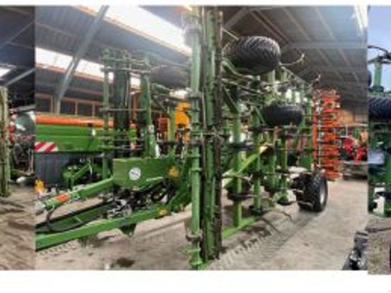 Amazone Croba