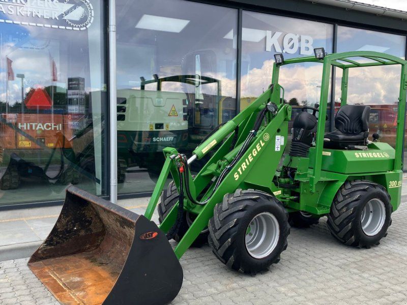 Striegel 300 Dy/a Strigel