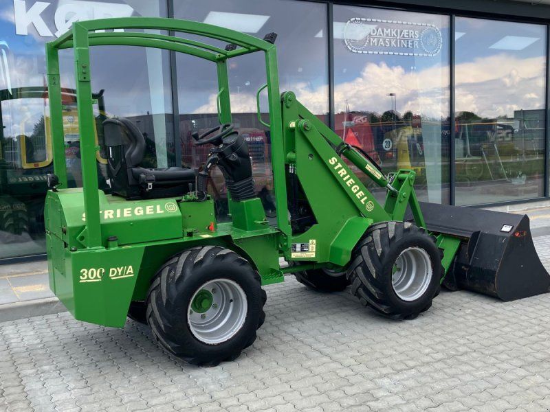 Striegel 300 Dy/a Strigel
