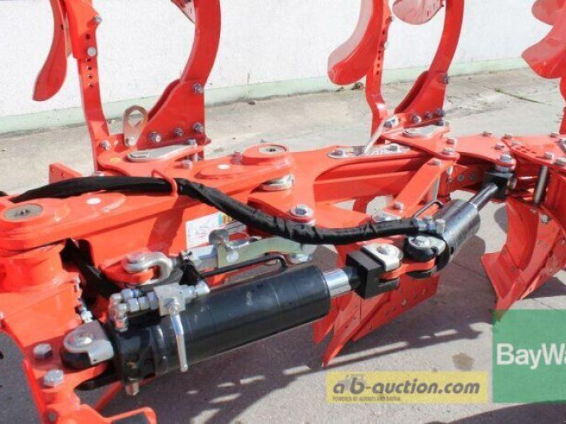 Maschio UNICO M VARIO D95 4+