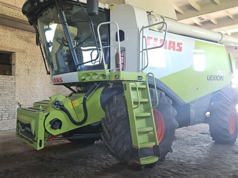 Claas LION 750 VI GIVER 50 TIMERS HØSTGARANTI I DK!!! Kun 850 Høstti