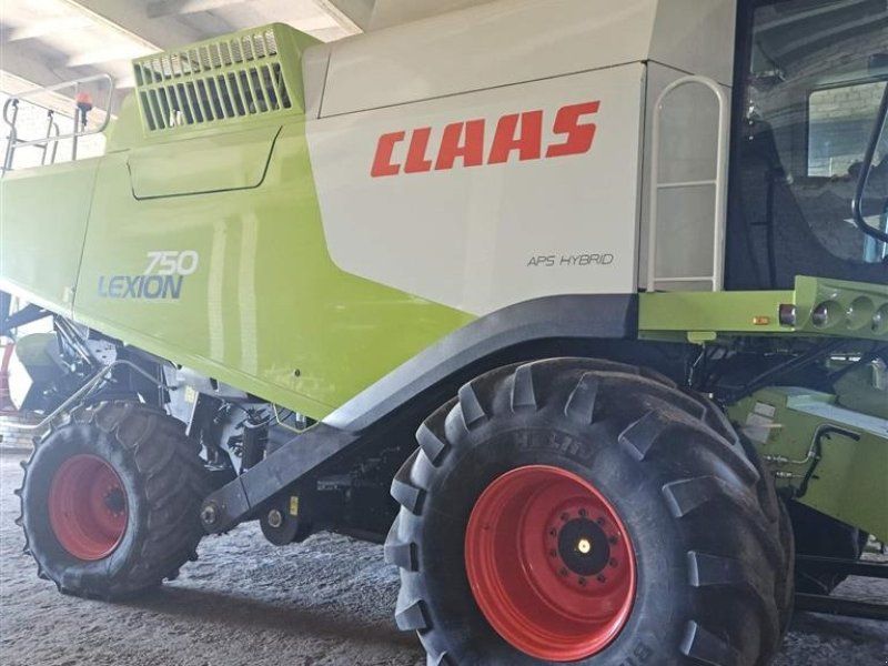 Claas LION 750 VI GIVER 50 TIMERS HØSTGARANTI I DK!!! Kun 850 Høstti