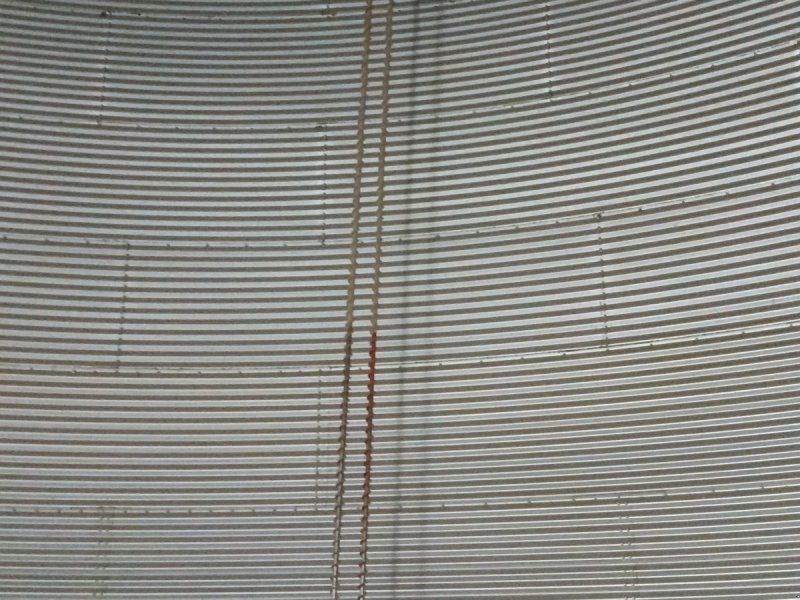 Korn Korn 42 fods