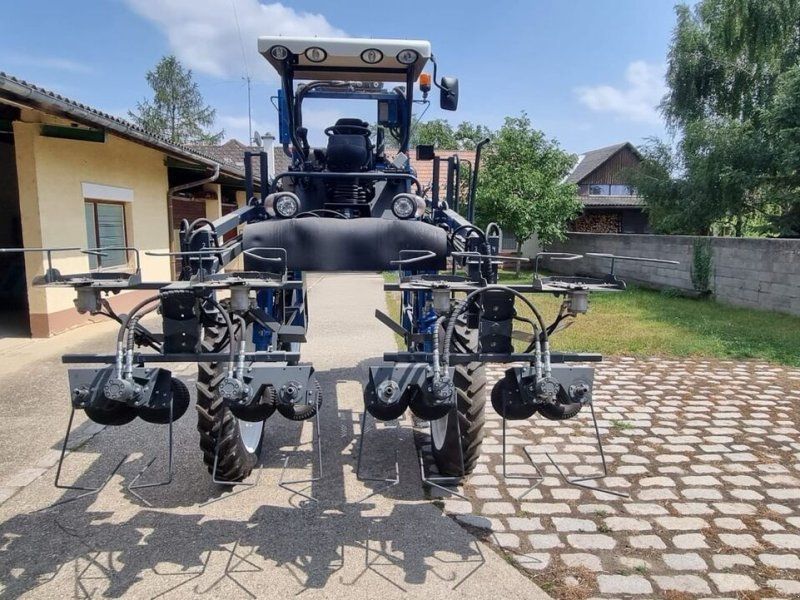 Aiglon 80