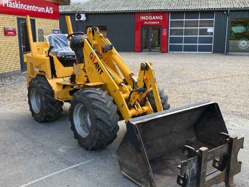 Giant V451T ecoliner
