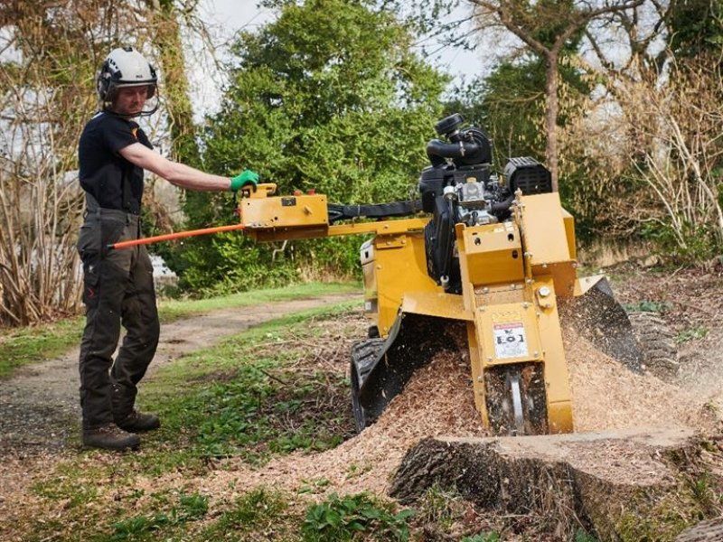 Rayco RG37 4WD Stubfræser