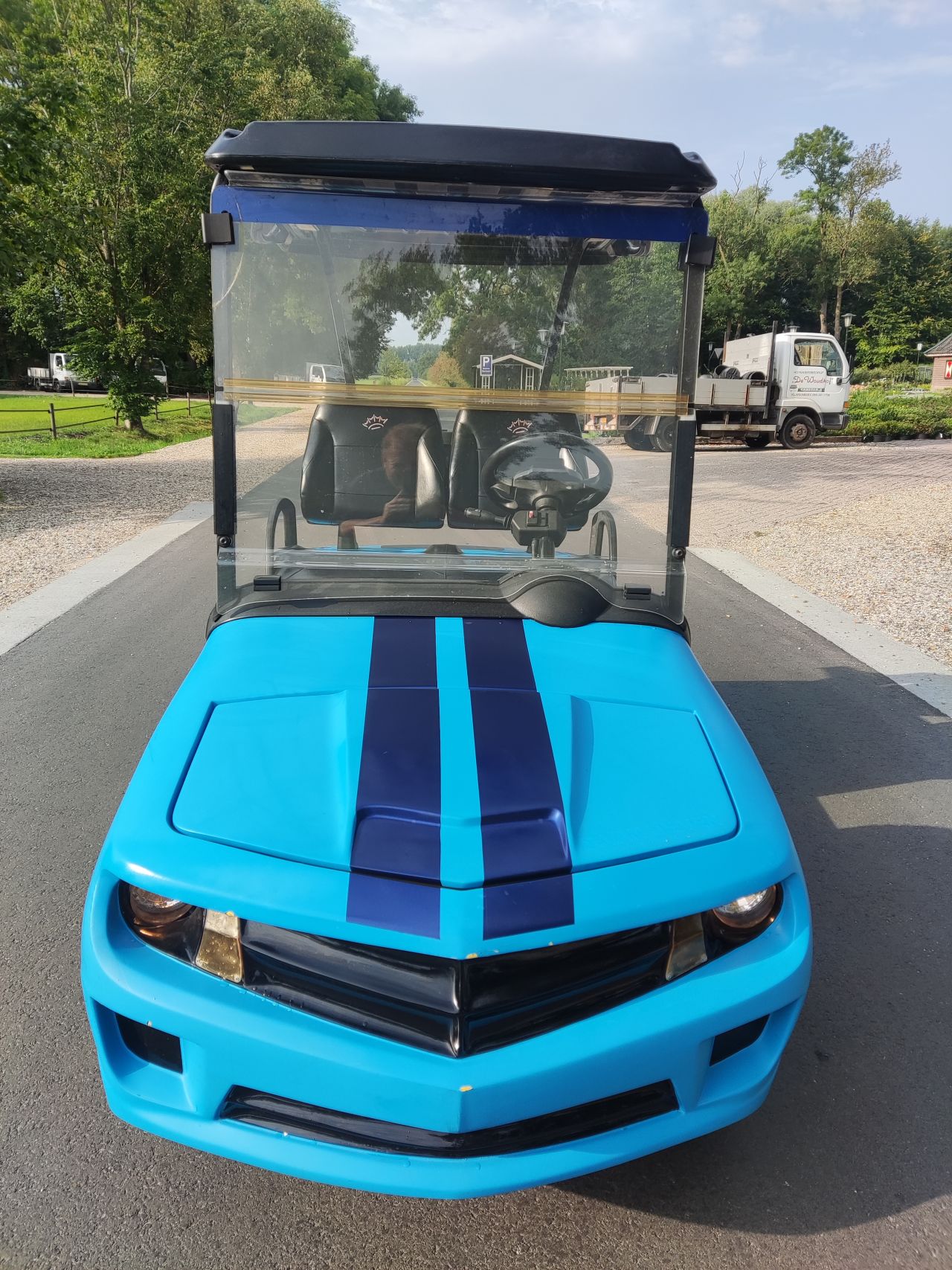 EZGO / Chevrolet golfkar (type Camaro, lederen zitting, etc)