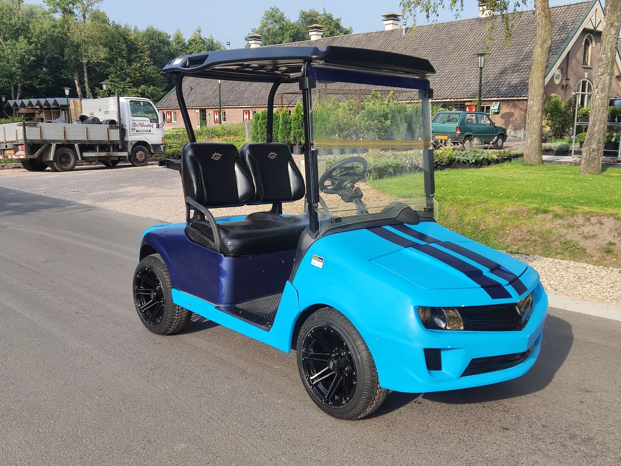 EZGO / Chevrolet golfkar (type Camaro, lederen zitting, etc)