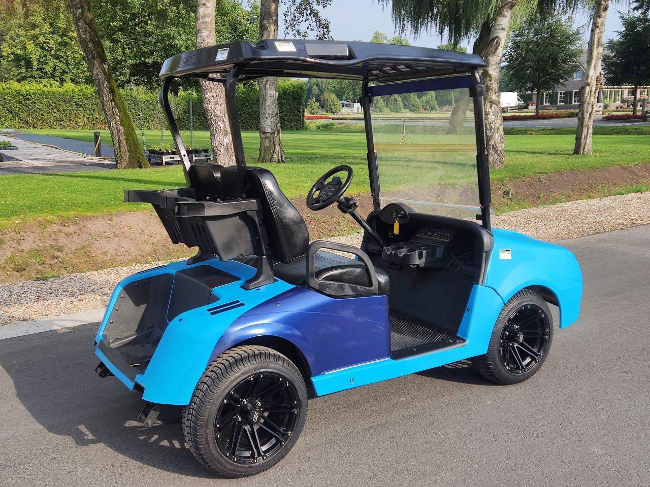 EZGO / Chevrolet golfkar (type Camaro, lederen zitting, etc)