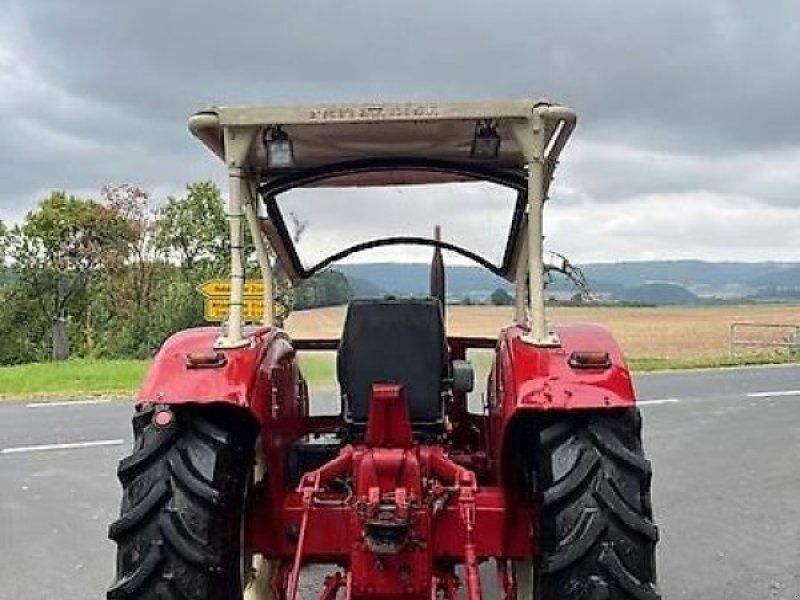 IHC 624