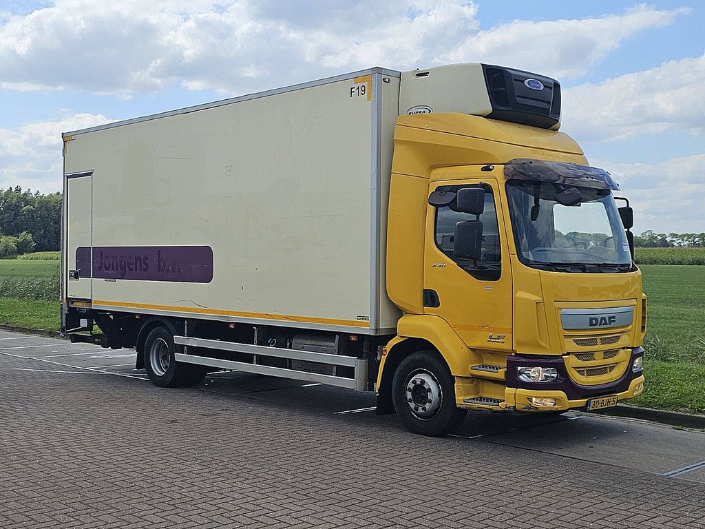 DAF LF 230