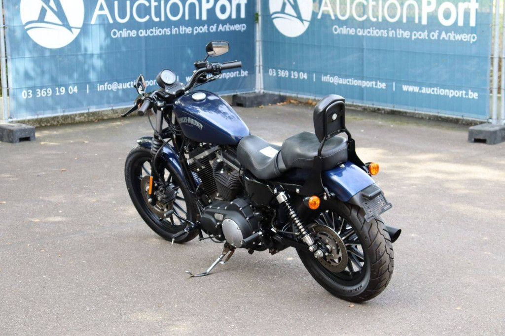 Harley-Davidson Sportster XL883 Iron Benzin 2013