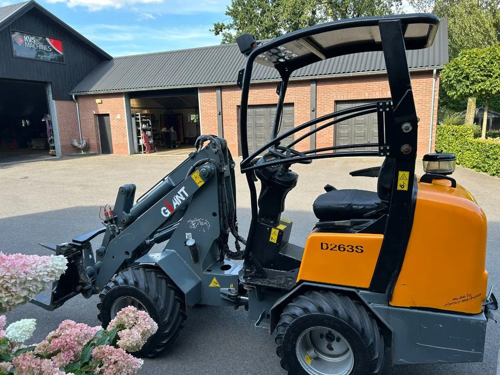 Giant D263S