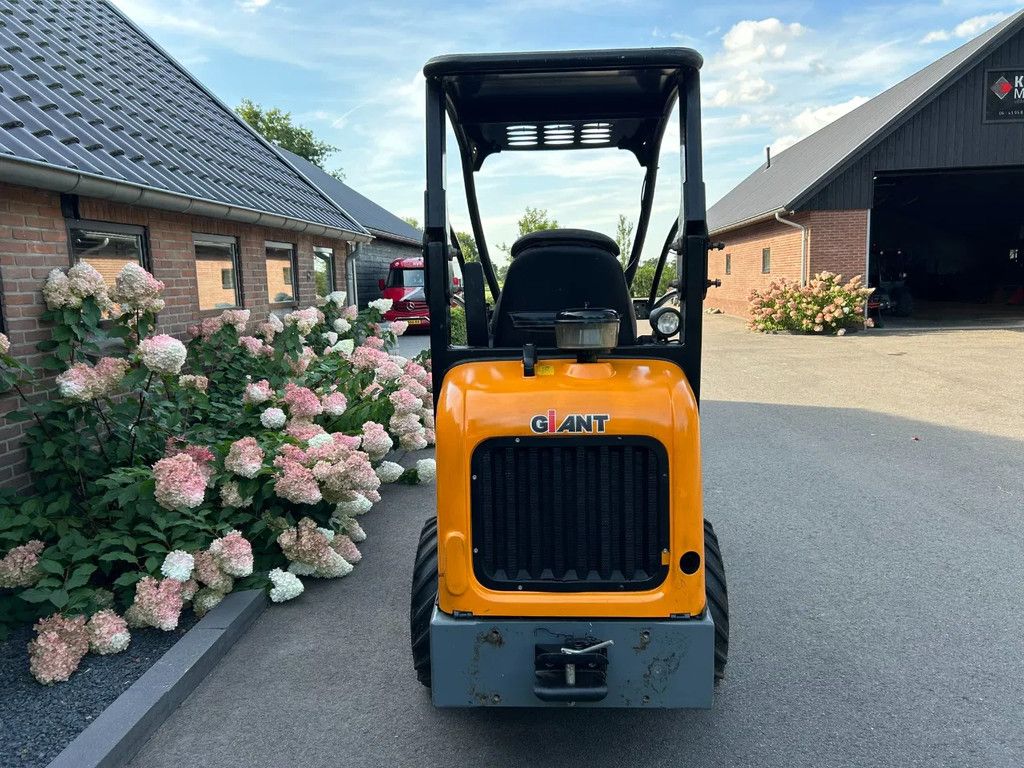 Giant D263S