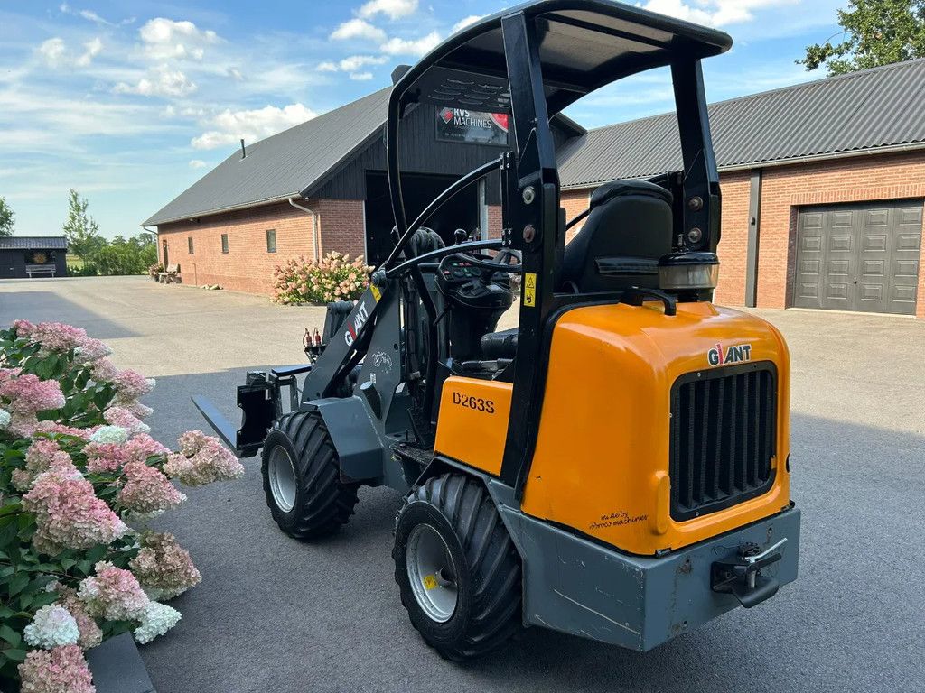 Giant D263S