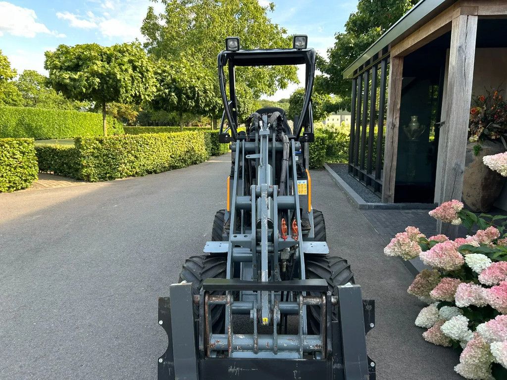 Giant D263S