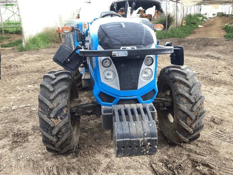 Landini rex