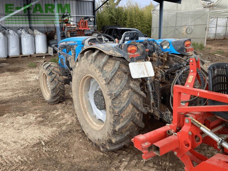 Landini rex