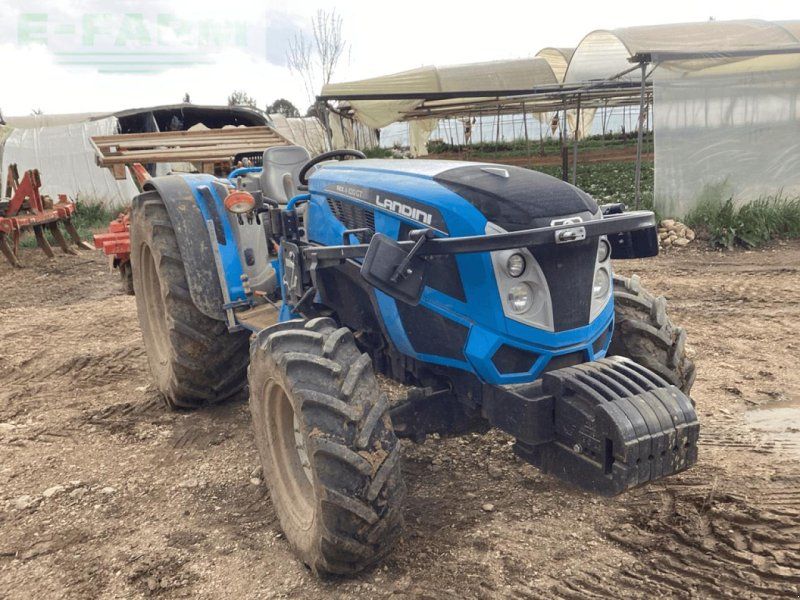 Landini rex
