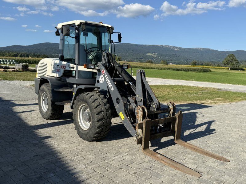 Terex TL 100