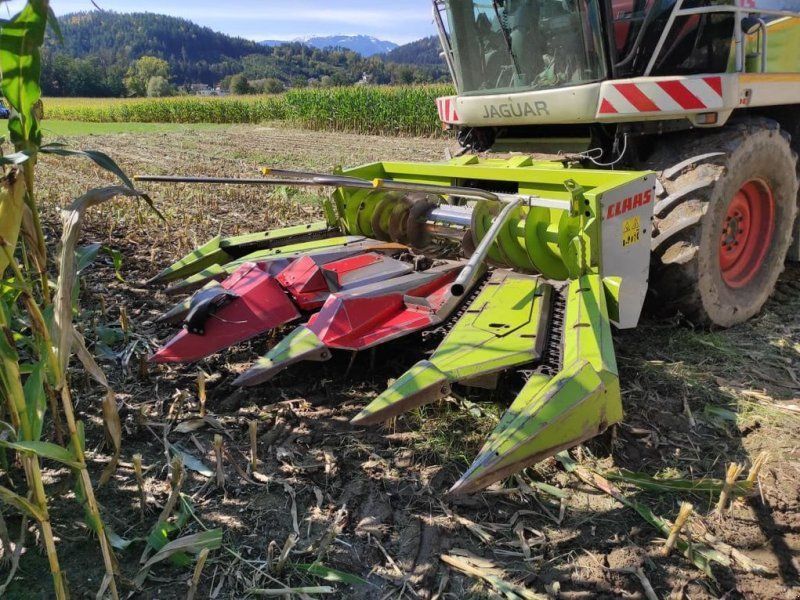 Claas Maisgebiss 4+2