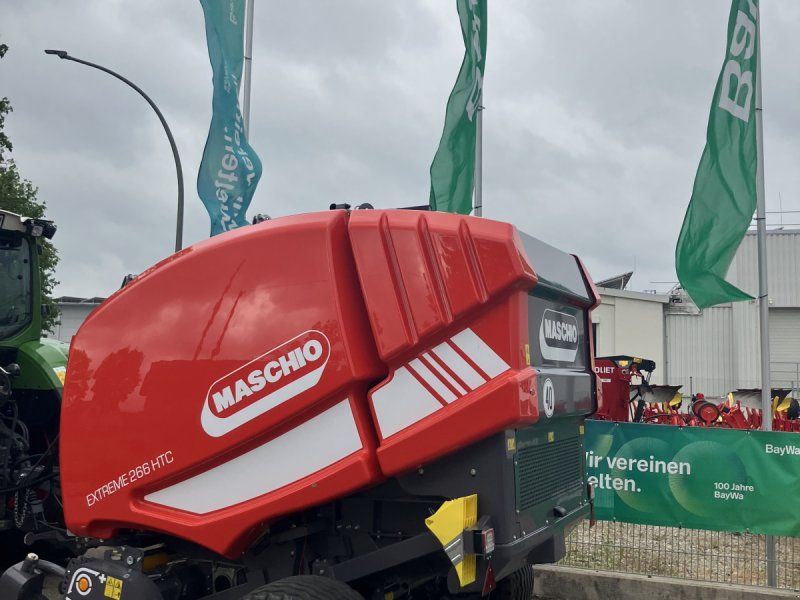 Maschio Mondiale / Extreme Spätsommer RABATT AKTION