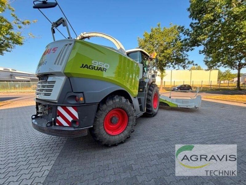 Claas JAGUAR 950