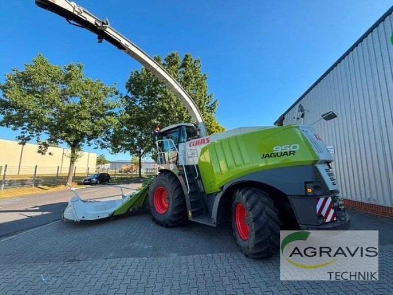 Claas JAGUAR 950