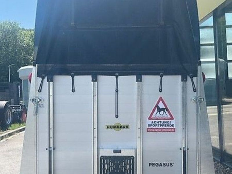 Humbaur Pegasus Pro 2-Pferde 2,4t !NEU! SK