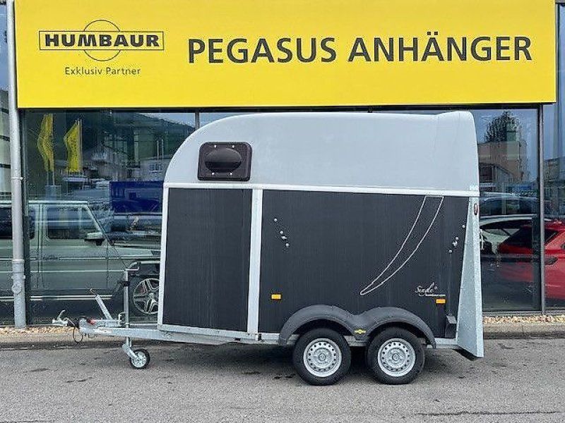 Humbaur Single Plywood 1,5er Pferde 