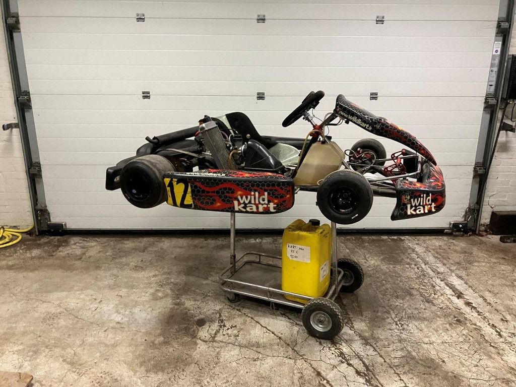 Gokart Wild Kart Benzin
