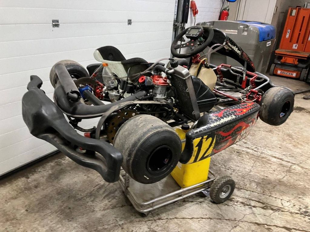 Gokart Wild Kart Benzin