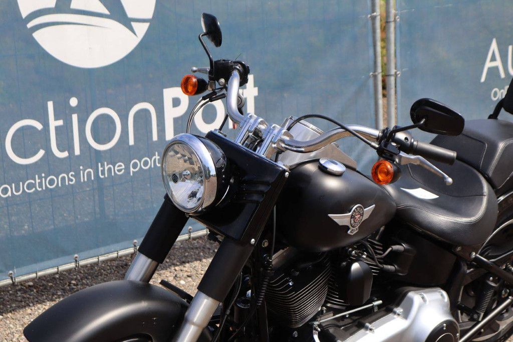 Harley-Davidson FAT BOY LO/SPECIAL Benzine 79pk 2014
