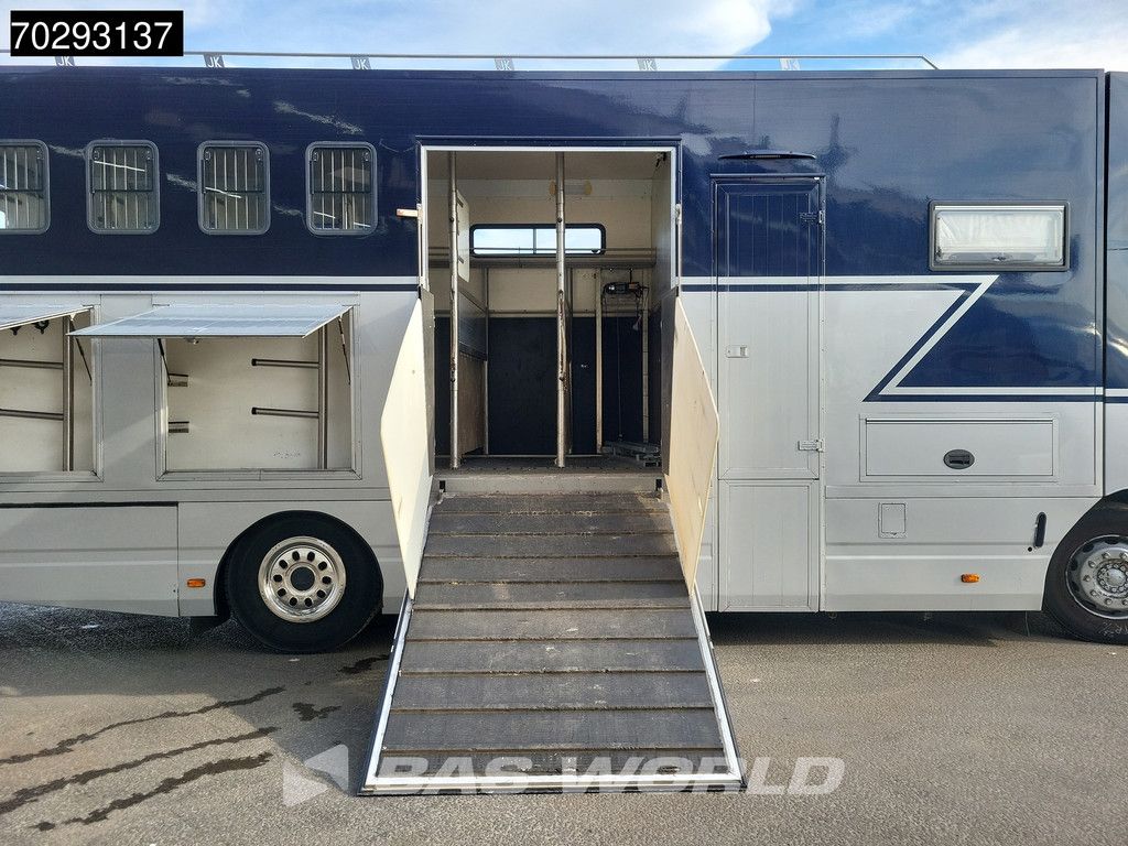 MAN FL 4X2 NL-Horsetruck 6 Horses with Living Pferdentransport Manual Euro 2